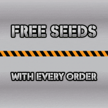 The Vault Cannabis Seeds Store