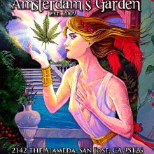 Amsterdam’s Garden / San Jose, California / Dispensary Delivery