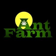 Ant Farm Compassion Club / Detroit, Michigan / Delivery