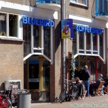 The Bluebird Coffee Shop / Netherlands