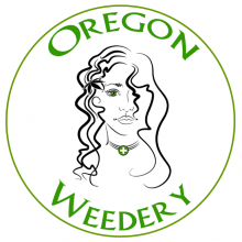 Oregon Weedery / Portland, Oregon / Dispensary