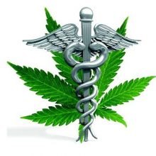 The Healing Center Medical Clinic / Doctor
