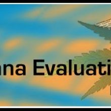 Dr. Nicholas Nardacci, Ph.D., M.D. – New Mexico Medical Marijuana Evaluations / Doctor