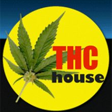 THC House / Los Angeles Doctors